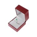 estuche-premium-574