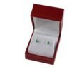 joyeria-colombiana-artesanal-SKU592-estuche