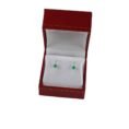 regalo-especial-joyas-esmeralda-SKU601-estuche